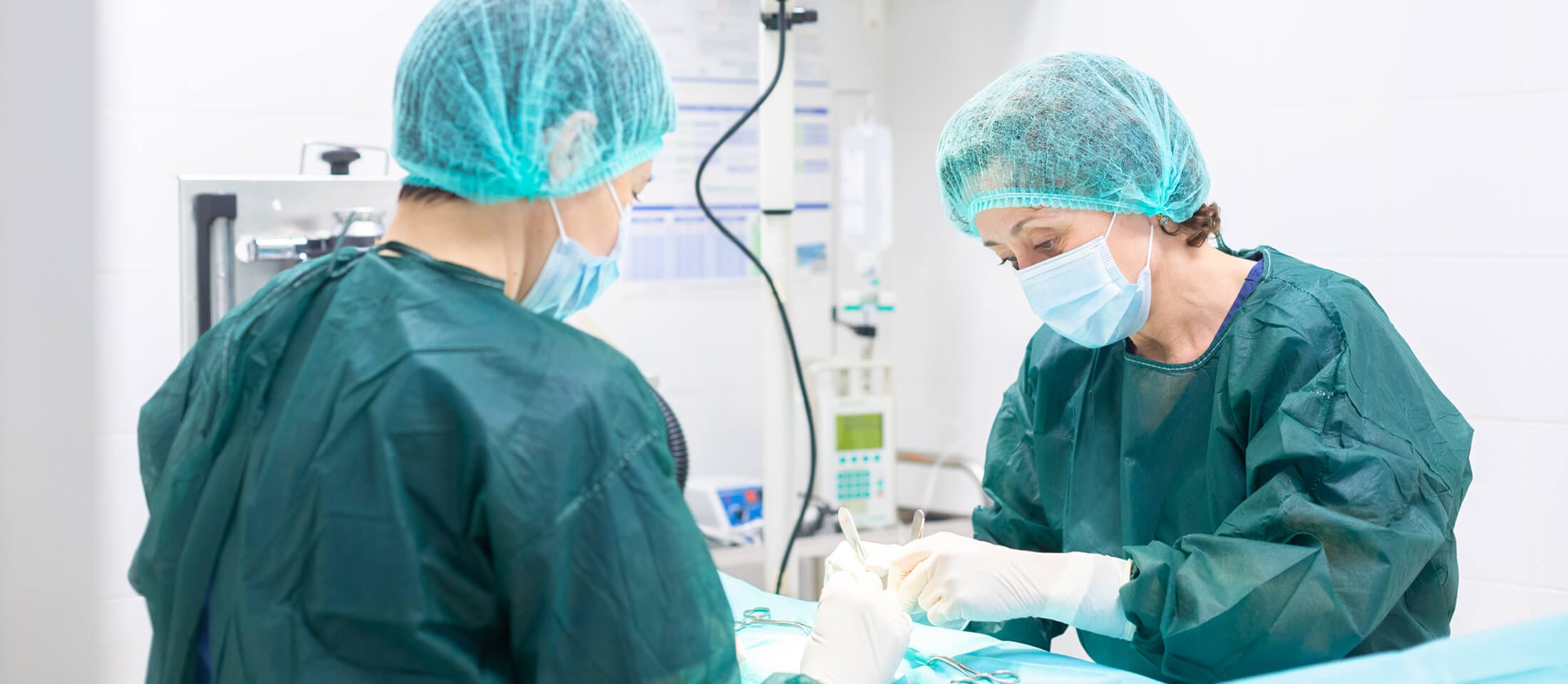 Cirurgia esterilitzacio CV Canalestes