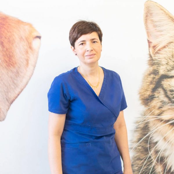 canaletes-veterinari-antonia (1) canaletes-veterinari-antonia (1)