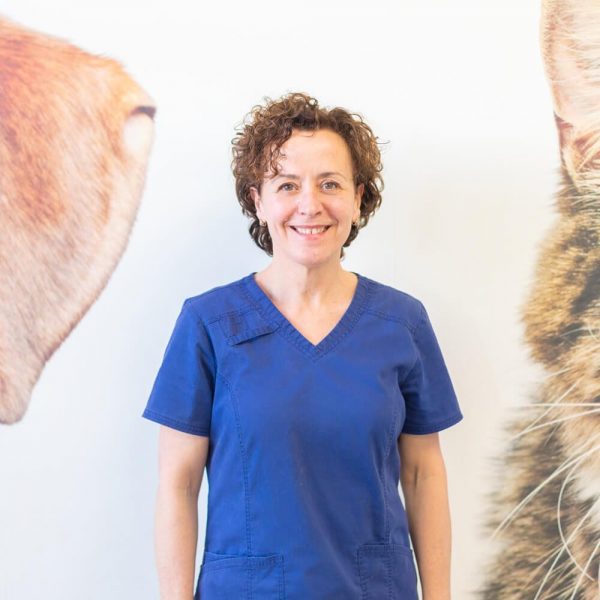 canaletes-veterinari-cristina (1) canaletes-veterinari-cristina (1)